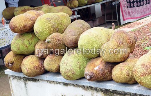 Jackfruit fest at pilikula